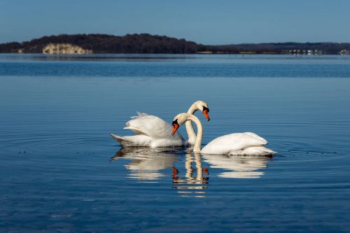 「気持ちいいセックス」と向き合う